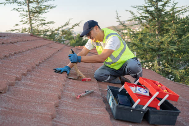 Best Roof Insulation Installation  in Eton, GA